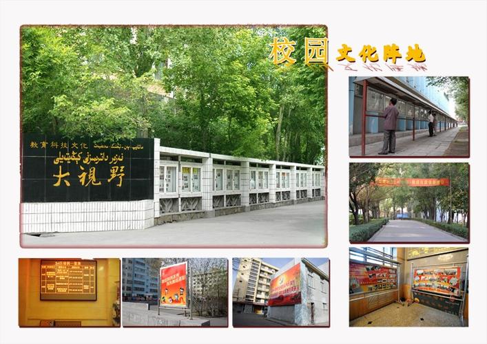 新疆石油学院培训中心有何特色？-第1张图片-花冠旅游服务