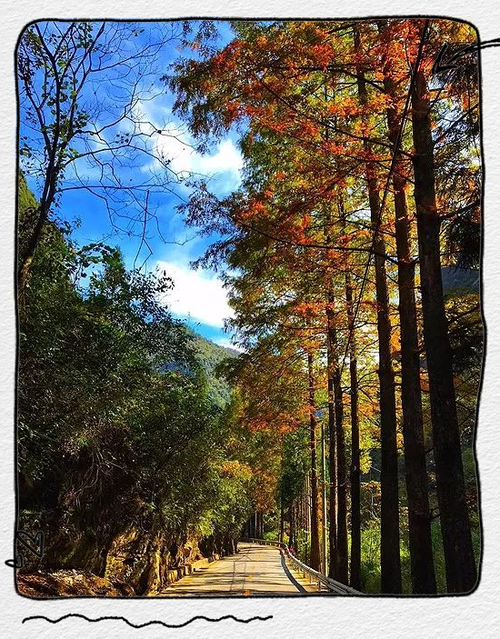 建始到江西动车时刻表最新版是？-第3张图片-花冠旅游服务