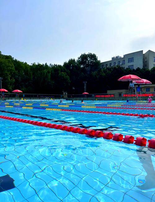 江西中医药大学游泳馆开放时间怎么查？-第3张图片-花冠旅游服务