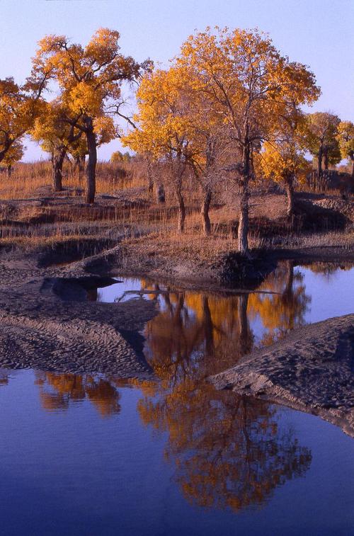 新疆有哪些著名景点？-第2张图片-花冠旅游服务