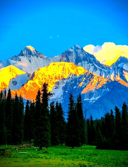 新疆夏天哪些景点不热？-第3张图片-花冠旅游服务