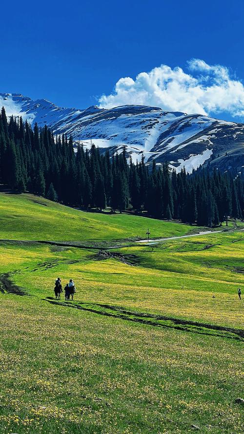 新疆草原有哪些必打卡景点?-第1张图片-花冠旅游服务 新疆草原有哪些必打卡景点?-第1张图片-花冠旅游服务