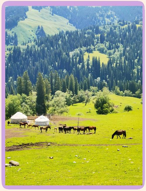 新疆草原有哪些必打卡景点?-第2张图片-花冠旅游服务 新疆草原有哪些必打卡景点?-第2张图片-花冠旅游服务