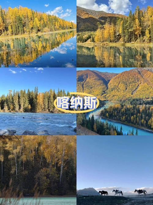 喀纳斯自助游怎么玩？攻略有哪些要点？-第3张图片-花冠旅游服务