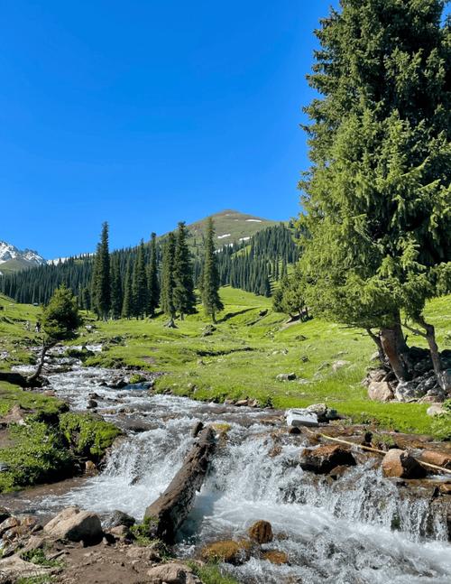 新疆伊宁有哪些必打卡的旅游景点？-第1张图片-花冠旅游服务