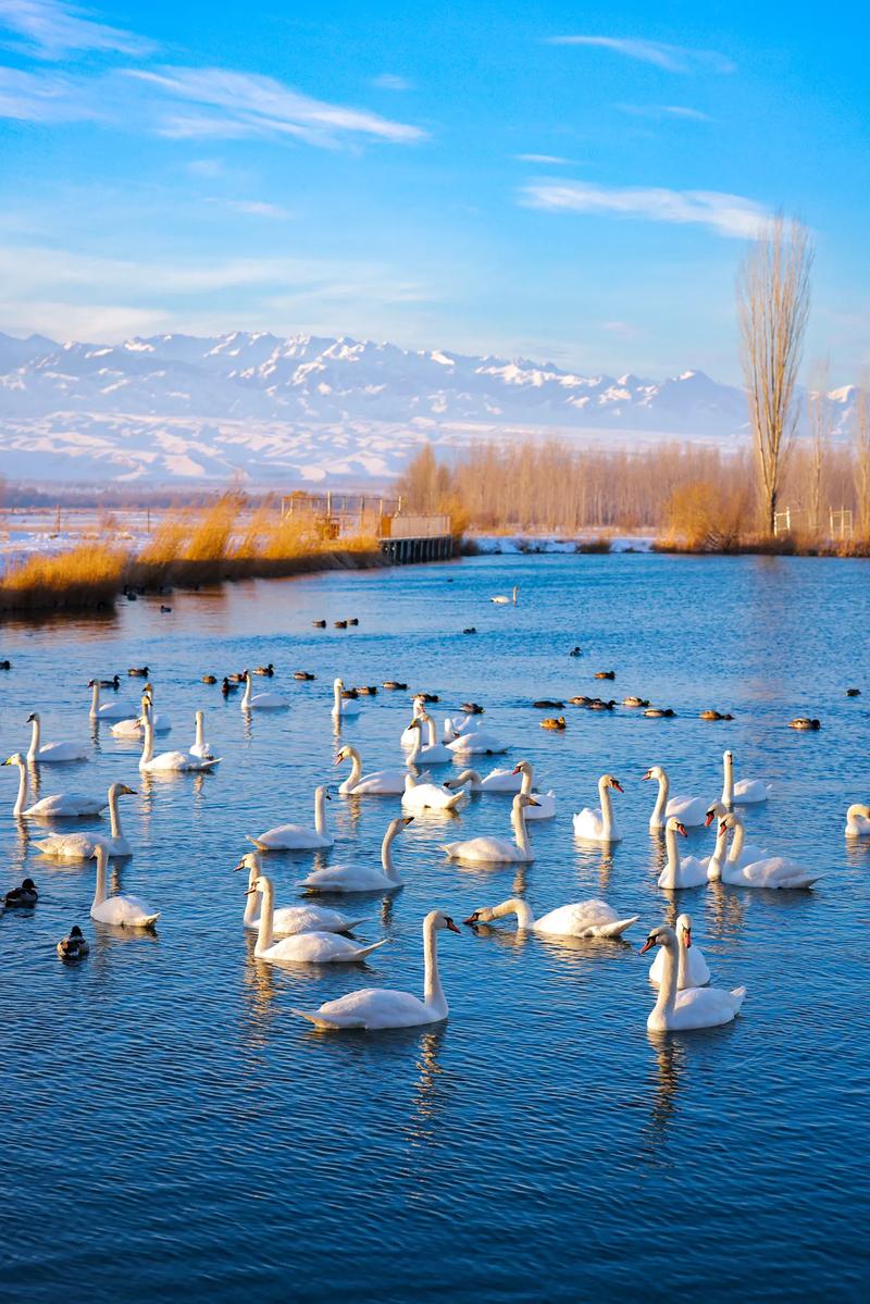 新疆伊宁有哪些必打卡的旅游景点？-第2张图片-花冠旅游服务