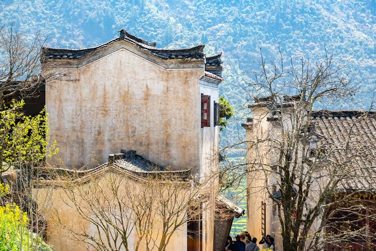 江西上饶婺源格洛丽雅是什么？-第2张图片-花冠旅游服务