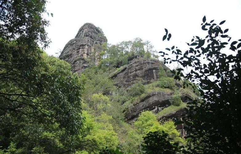 福建武夷山刘官寨有何历史故事？-第1张图片-花冠旅游服务