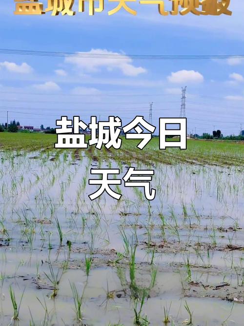 江西盐城一周天气怎么样?-第1张图片-花冠旅游服务 江西盐城一周天气怎么样?-第1张图片-花冠旅游服务