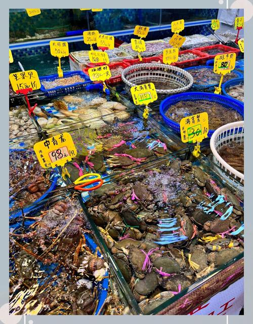 厦门水产批发市场行情如何？-第1张图片-花冠旅游服务