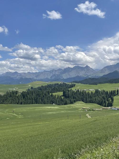 新疆江布拉克为何成必打卡秘境？-第1张图片-花冠旅游服务