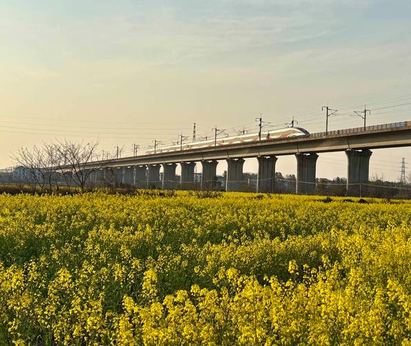 鞍山到江西动车票价多少？-第2张图片-花冠旅游服务