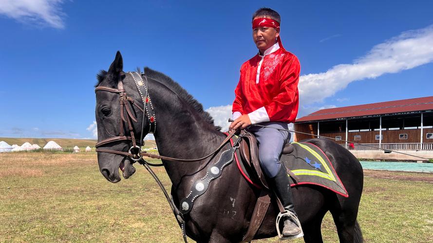 新疆户籍办马来西亚签证难吗？-第2张图片-花冠旅游服务