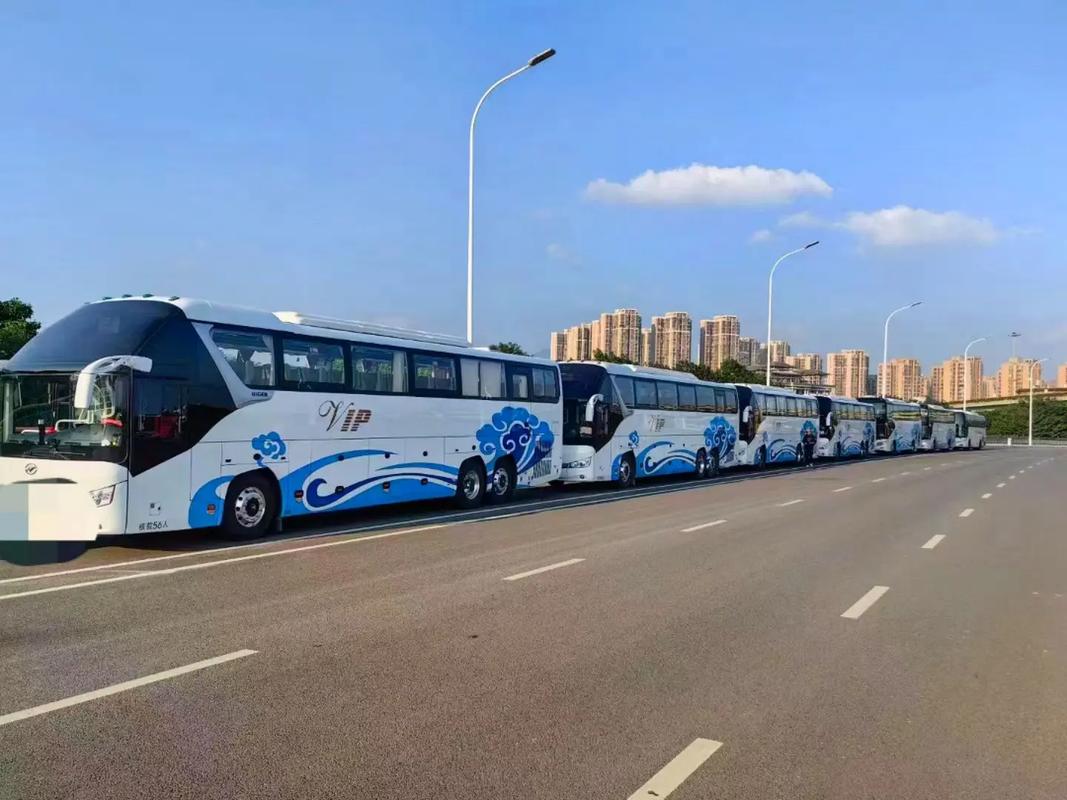 进贤租车哪家公司靠谱又划算？-第2张图片-花冠旅游服务