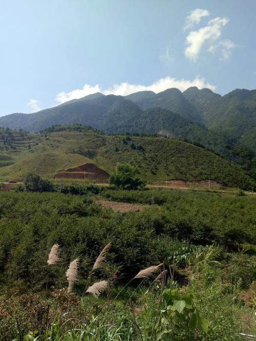 江西玉山县金沙湾房价现在多少？-第2张图片-花冠旅游服务