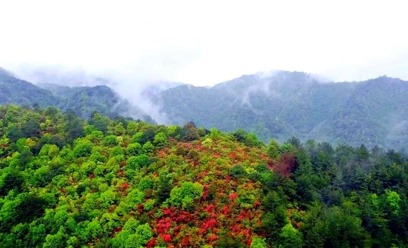 江西岑山国家森林公园有何独特魅力?-第2张图片-花冠旅游服务 江西岑山国家森林公园有何独特魅力?-第2张图片-花冠旅游服务