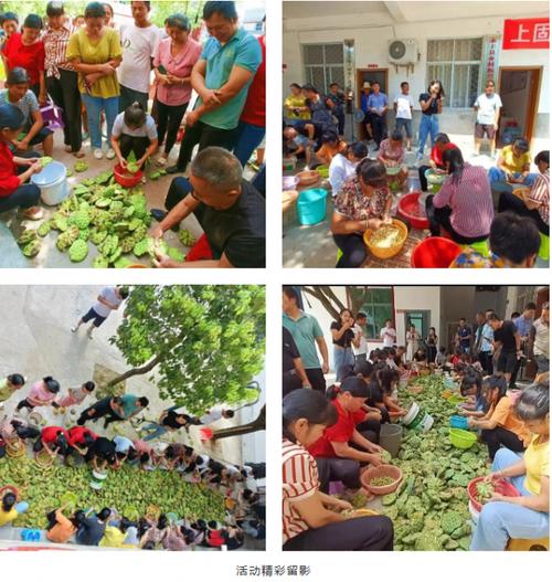 江西吉安永丰上固有何新鲜事？-第2张图片-花冠旅游服务