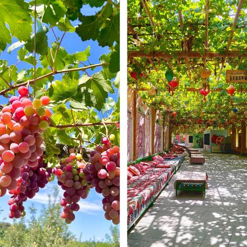 喀什为何被称为新疆最危险的地方?-第3张图片-花冠旅游服务 喀什为何被称为新疆最危险的地方?-第3张图片-花冠旅游服务