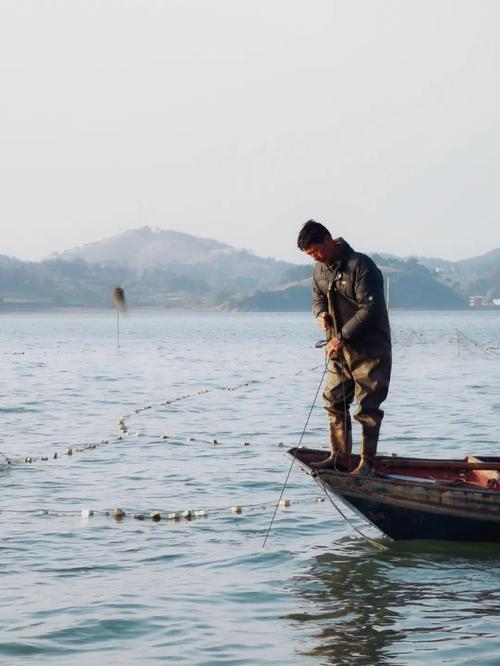 江西鄱阳内珠湖打死人，具体情况如何？-第2张图片-花冠旅游服务