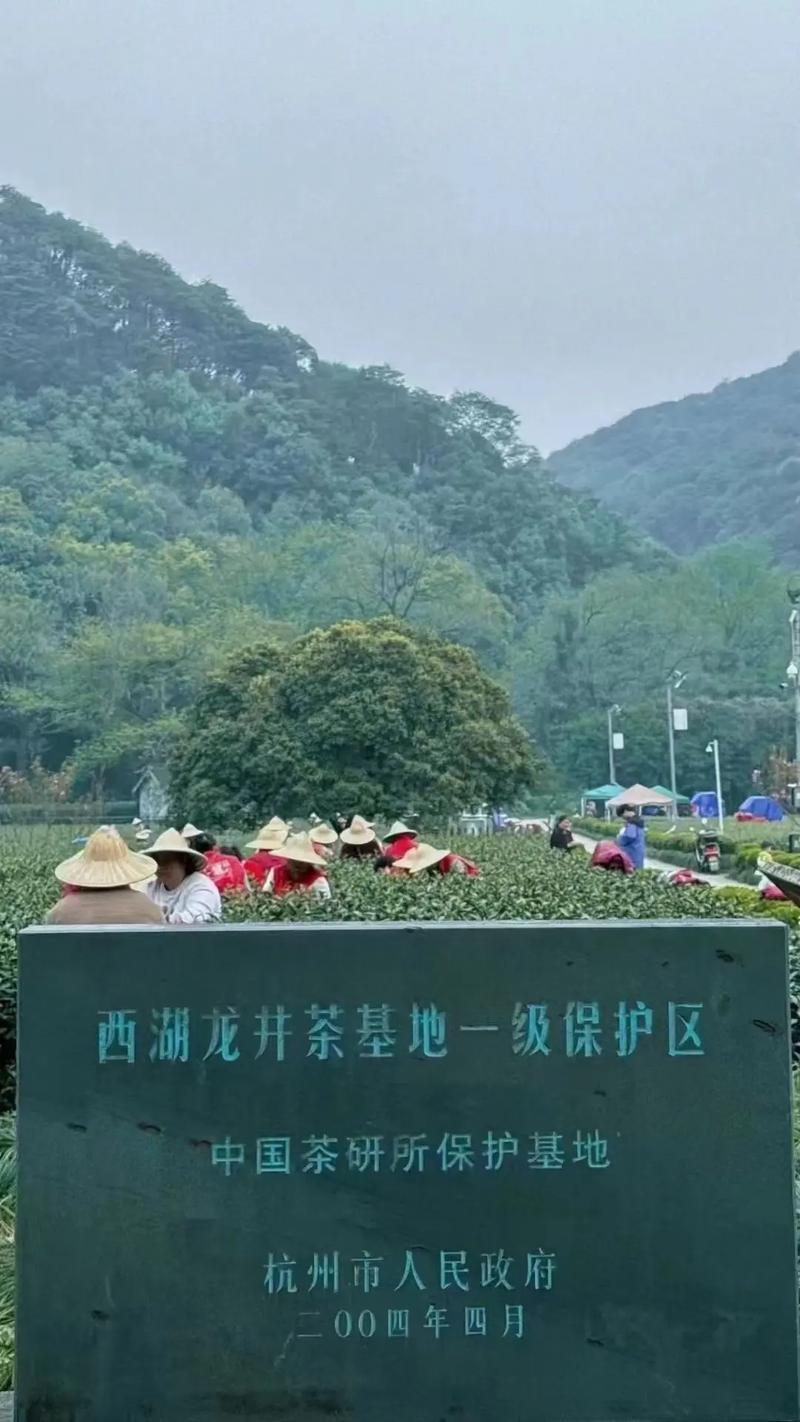 浙江西湖龙井山具体位于何处？-第1张图片-花冠旅游服务