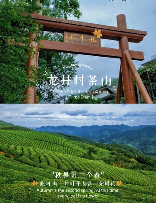 浙江西湖龙井山具体位于何处？-第2张图片-花冠旅游服务