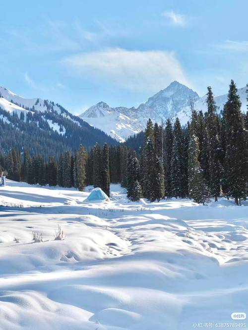 新疆伊犁会有高原反应吗？-第2张图片-花冠旅游服务