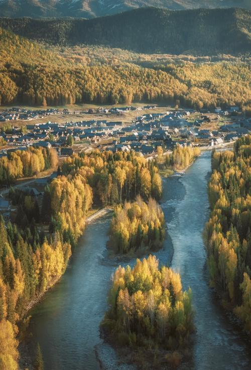 新疆阿勒泰桦林公园有何独特魅力？-第1张图片-花冠旅游服务