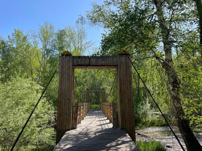 新疆阿勒泰桦林公园有何独特魅力？-第3张图片-花冠旅游服务