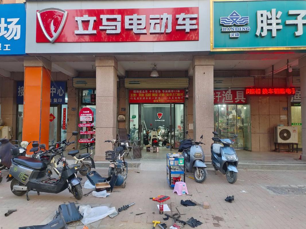 立马电动车江西总代理是谁？-第2张图片-花冠旅游服务