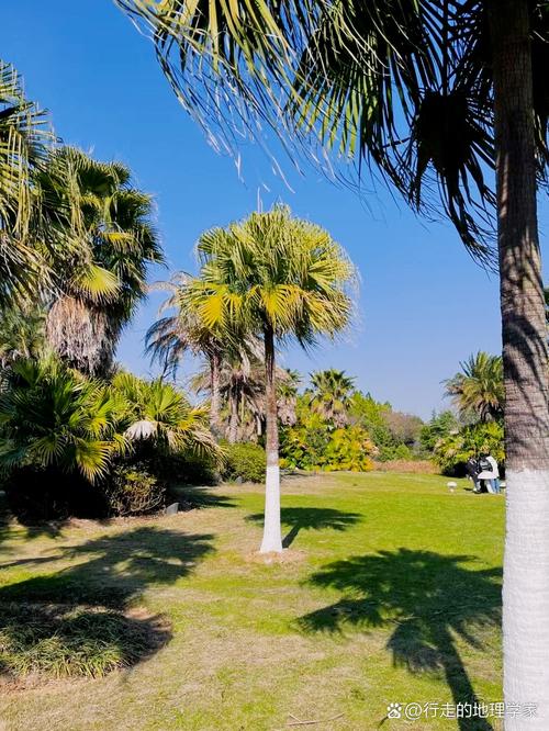 江西瑶湖有哪些必打卡的游玩好去处？-第1张图片-花冠旅游服务