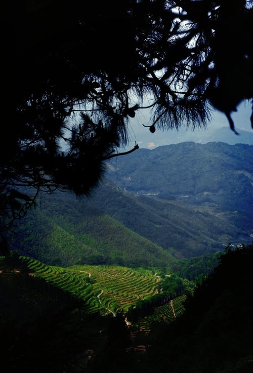 福建平和有哪些值得一游的风景区？-第2张图片-花冠旅游服务