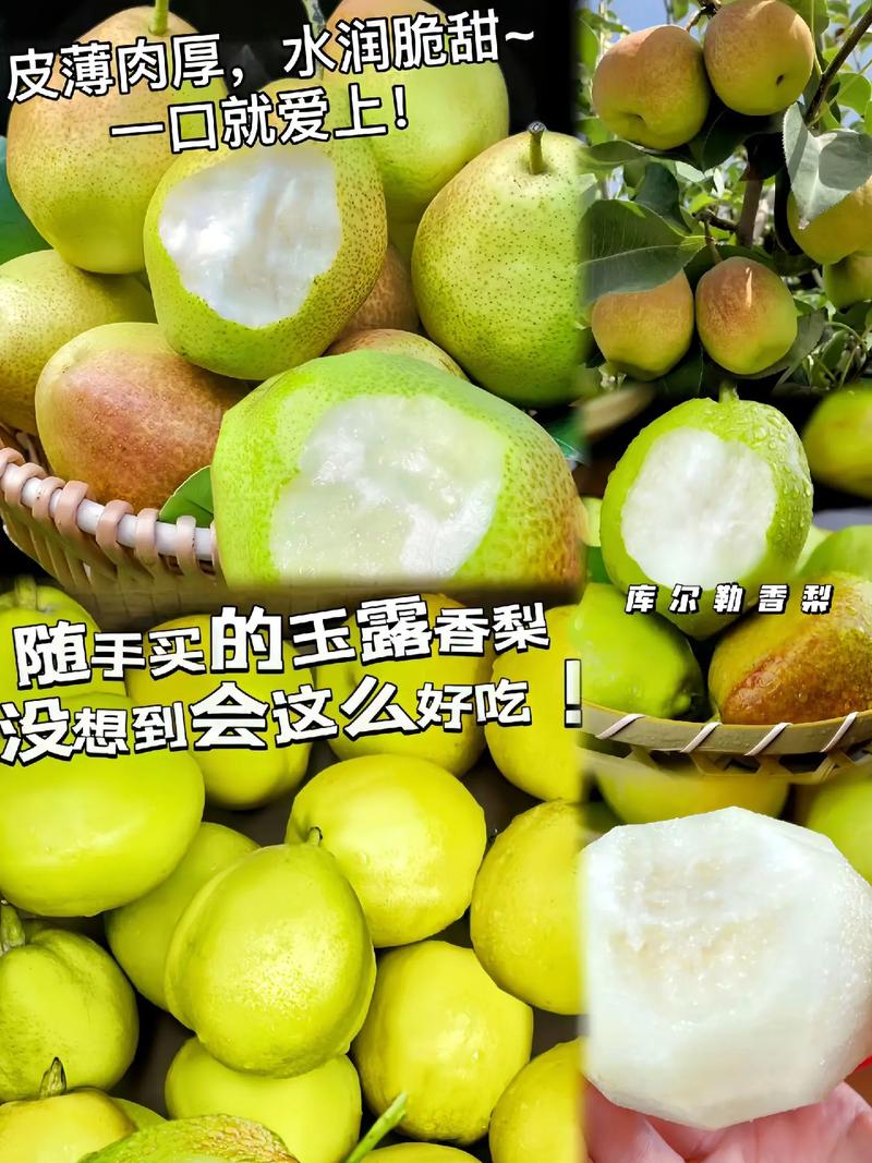 新疆库尔勒有哪些特色特产？-第2张图片-花冠旅游服务