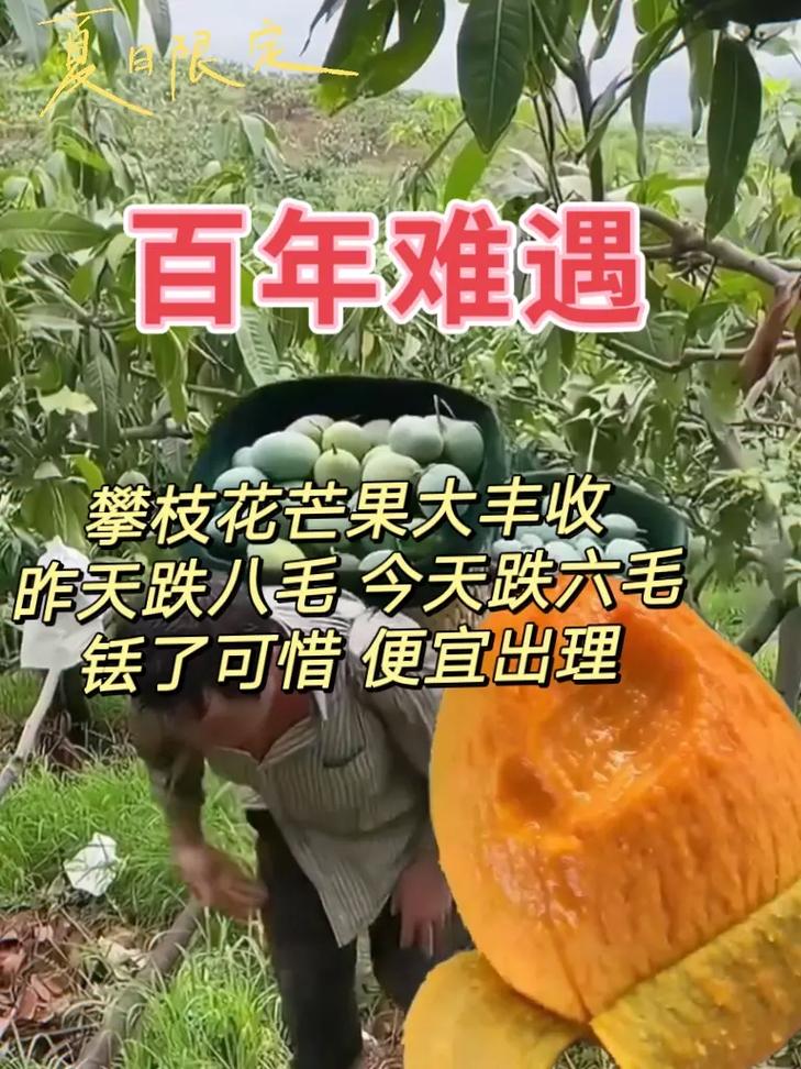 攀枝花飞福建要多久？-第3张图片-花冠旅游服务