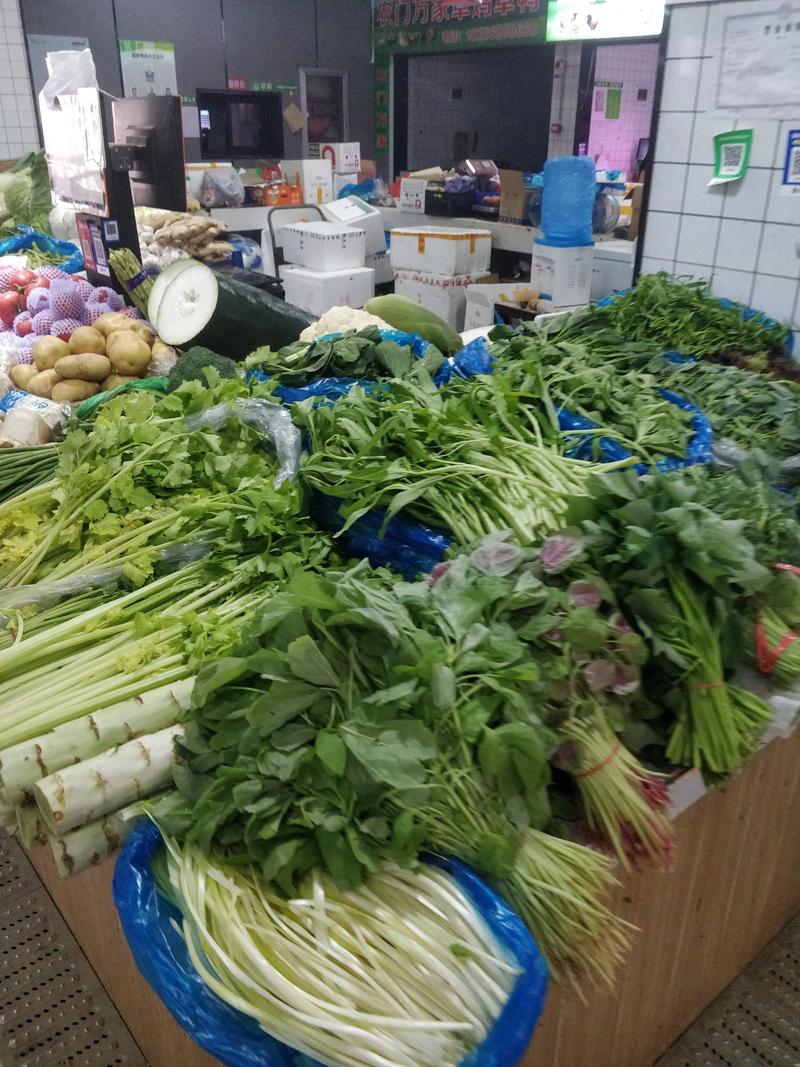 福建厦门蔬菜批发市场-第1张图片-花冠旅游服务 福建厦门蔬菜批发市场-第1张图片-花冠旅游服务