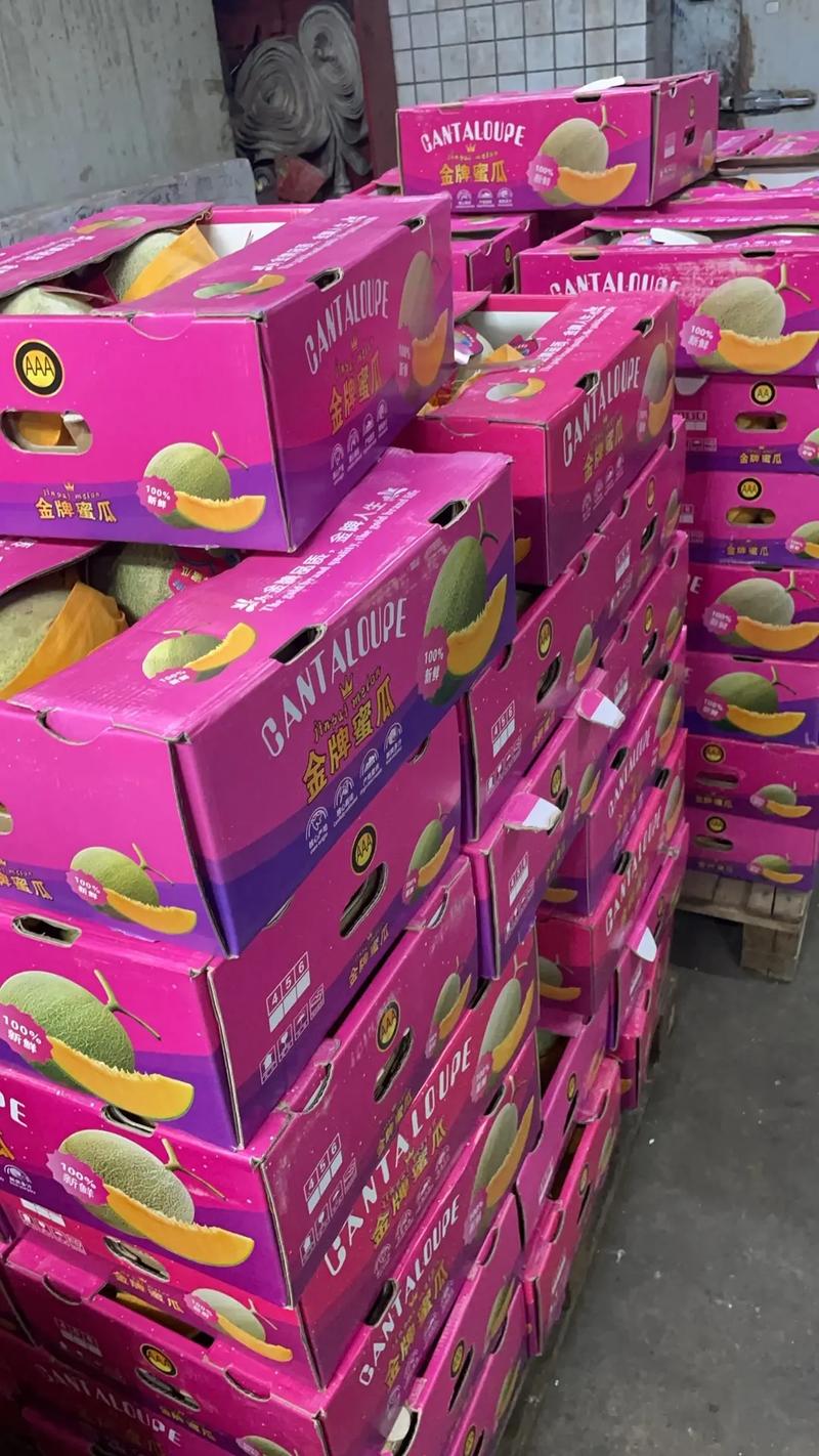 厦门水果批发市场在哪？价格如何？-第1张图片-花冠旅游服务