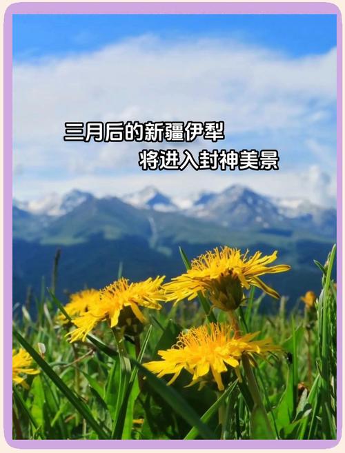新疆旅游最佳季节是几月？-第1张图片-花冠旅游服务