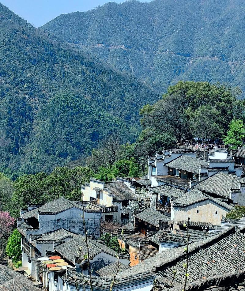 江西夏天有哪些必打卡清凉景点？-第1张图片-花冠旅游服务