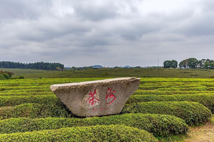 江西凤凰沟风景区怎么玩最尽兴？-第3张图片-花冠旅游服务