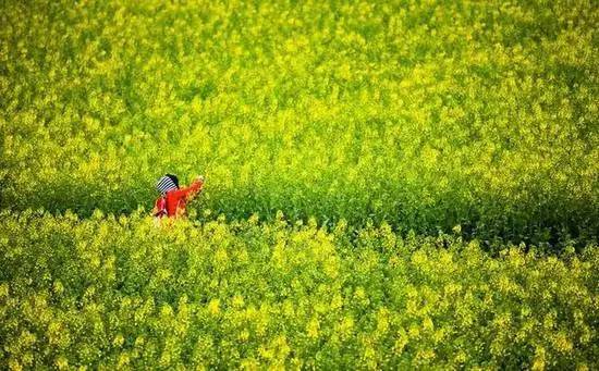 弥勒到江西高铁票价多少？-第3张图片-花冠旅游服务