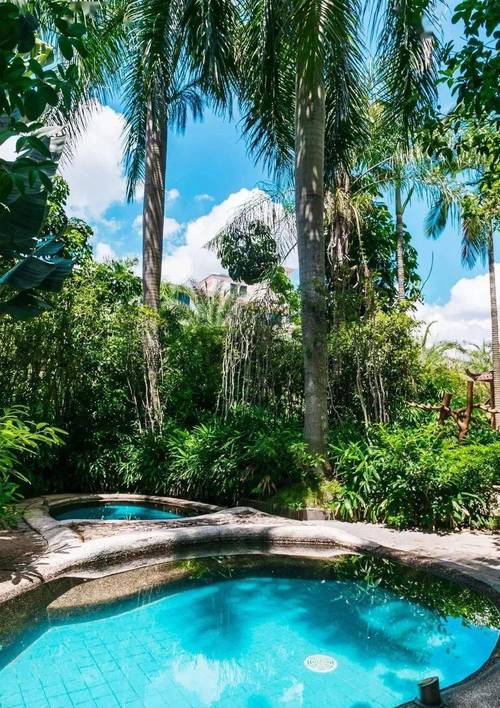 云霄云顶温泉有何独特魅力？-第3张图片-花冠旅游服务