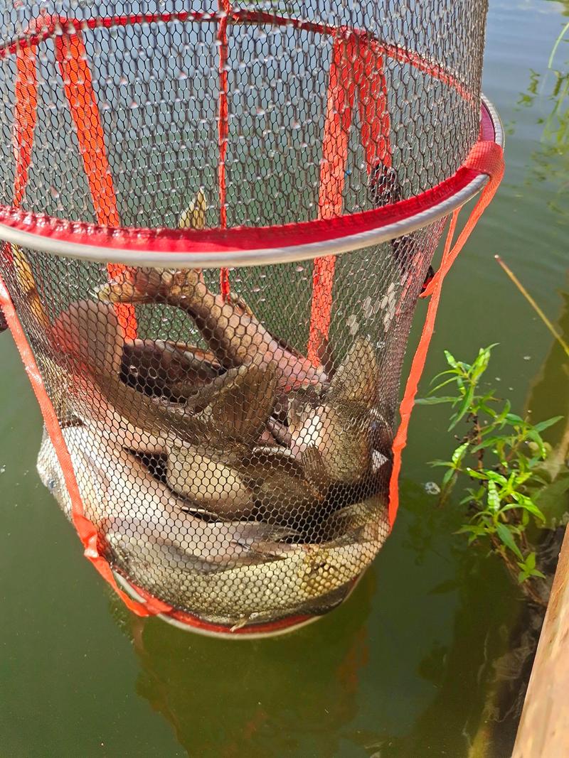 江西高安上游水库钓鱼攻略或注意事项?-第1张图片-花冠旅游服务 江西高安上游水库钓鱼攻略或注意事项?-第1张图片-花冠旅游服务