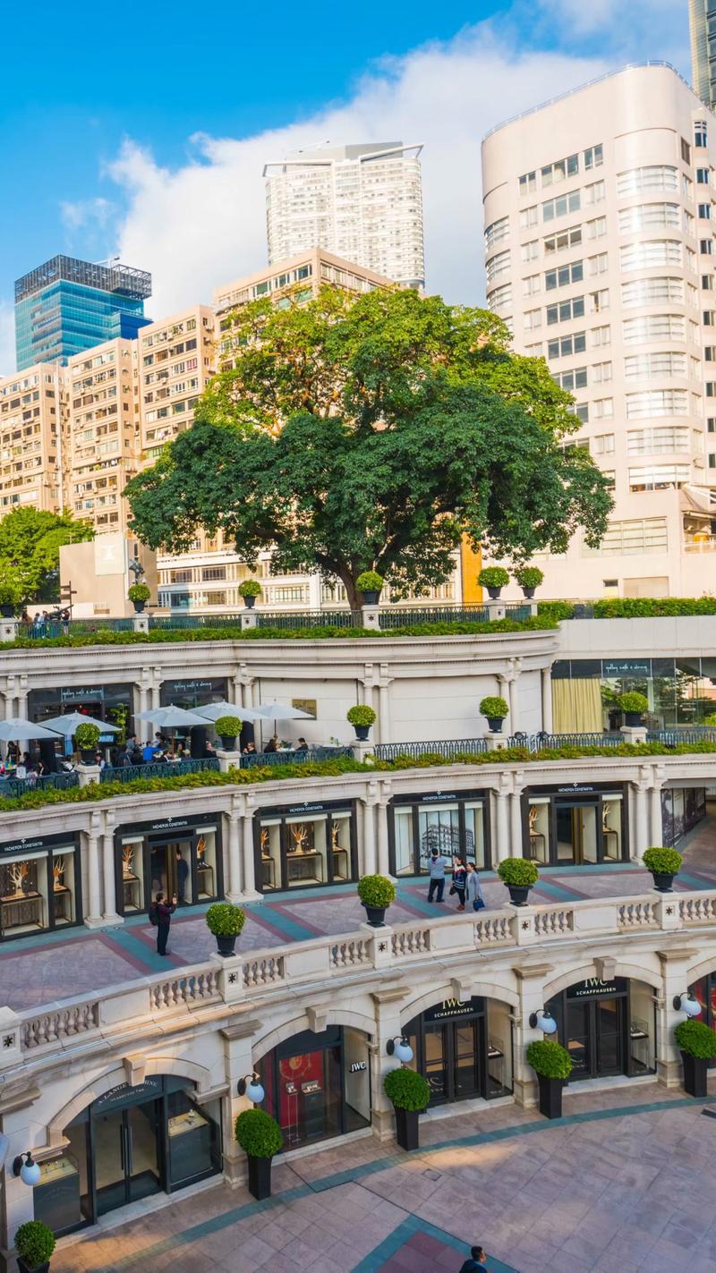 新疆去香港自由行签证怎么办？-第3张图片-花冠旅游服务