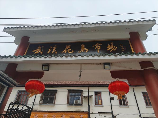 江西南昌京东花鸟市场-第1张图片-花冠旅游服务