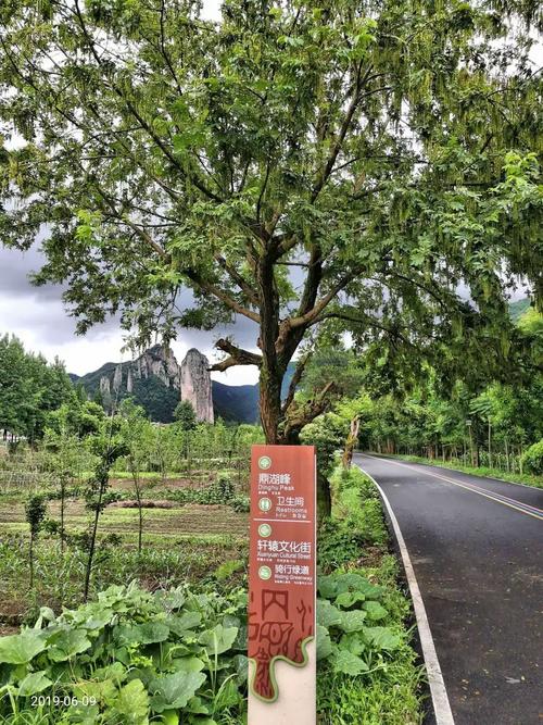 缙云到福建高铁时刻表最新版是？-第2张图片-花冠旅游服务