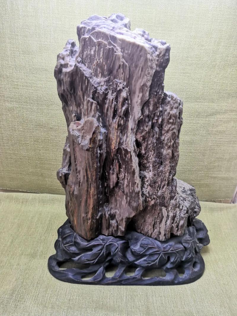 新疆硅化木图片及价格多少？-第1张图片-花冠旅游服务