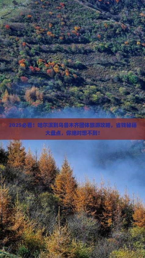 哈尔滨到乌鲁木齐怎么走最便捷？-第1张图片-花冠旅游服务