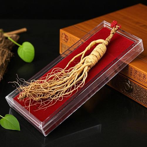 上海长江西路塑料市场现状如何?-第3张图片-花冠旅游服务 上海长江西路塑料市场现状如何?-第3张图片-花冠旅游服务