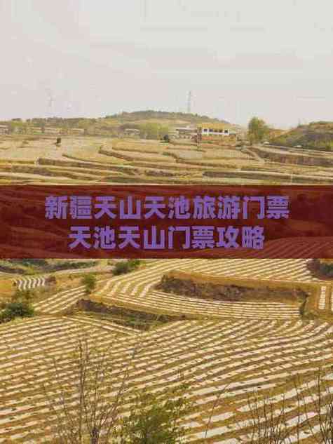 2025新疆天池门票价格是多少？-第1张图片-花冠旅游服务