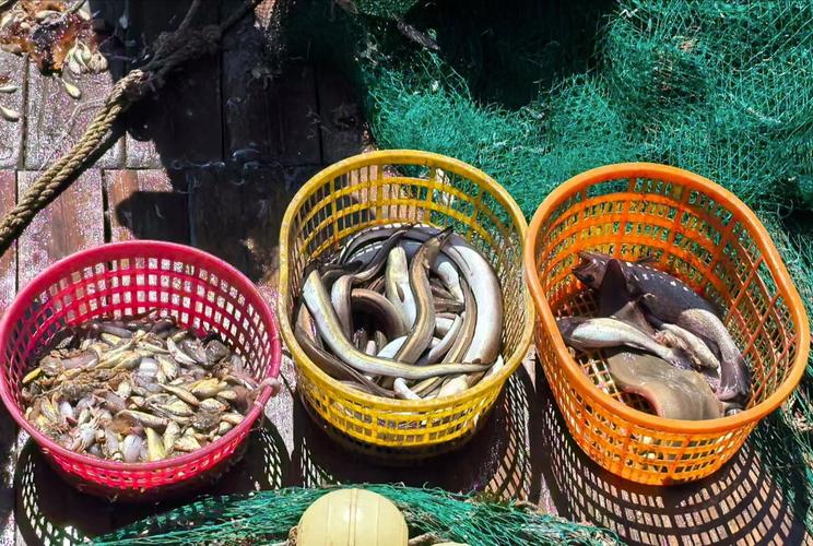 福建哪里可以合法打鱼？-第3张图片-花冠旅游服务