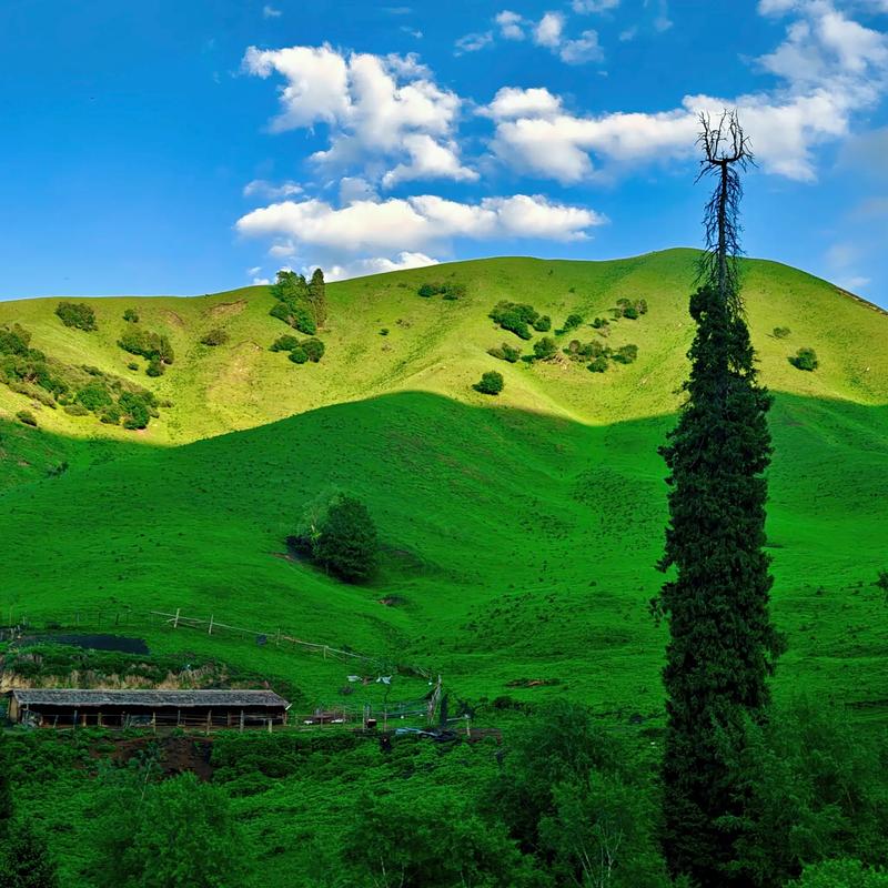 新疆那拉提旅游风景区有何独特魅力？-第2张图片-花冠旅游服务